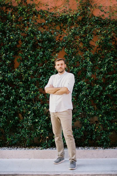 Young man stands near a wall covered with green ivy. High quality photo