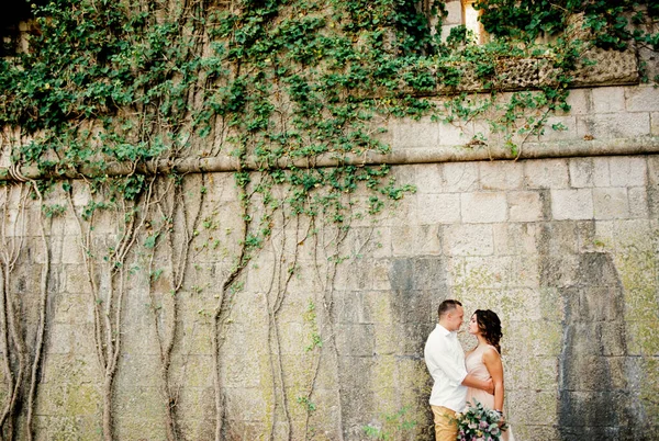 新郎は 古い建物の石の壁の近くに花嫁を抱擁し 窓はツタで生い茂っています 高品質の写真 — ストック写真