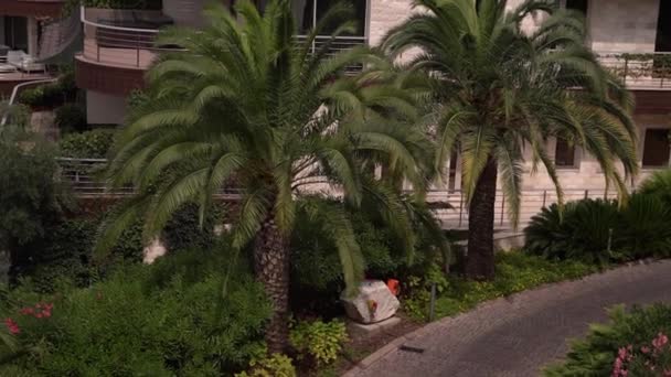 Merdivenleri Olan Pahalı Bir Otel Kompleksinin Etrafındaki Yeşil Bahçe Yüksek — Stok video