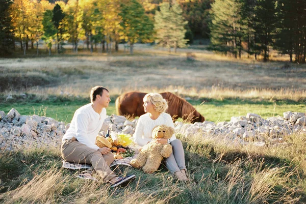 男と女が放牧馬の近くの芝生の上に毛布の上に座っている 高品質の写真 — ストック写真