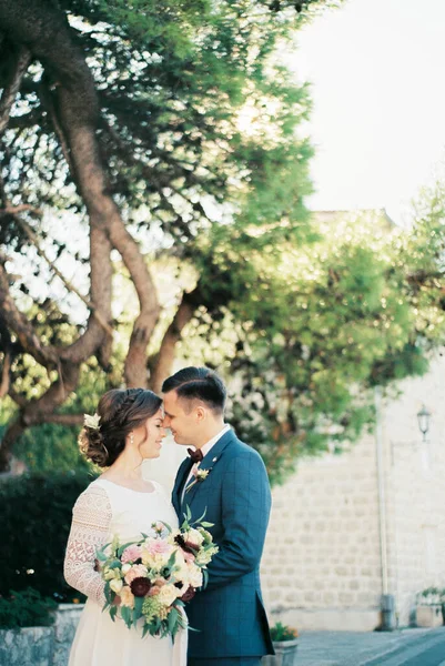 Menyasszony Vőlegény Ölelkeznek Homlokkal Alatt Kiváló Minőségű Fénykép — Stock Fotó
