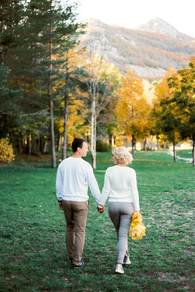 男と女が公園を歩いていて手を握っている バックビュー 高品質の写真 — ストック写真