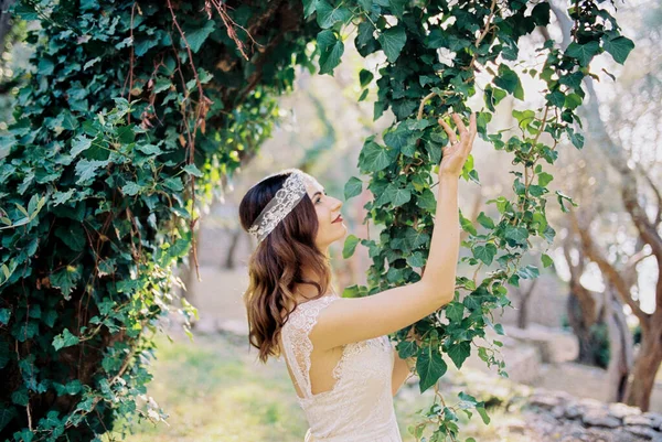 Bruid Raakt Met Haar Handen Groene Bladeren Van Klimop Aan — Stockfoto