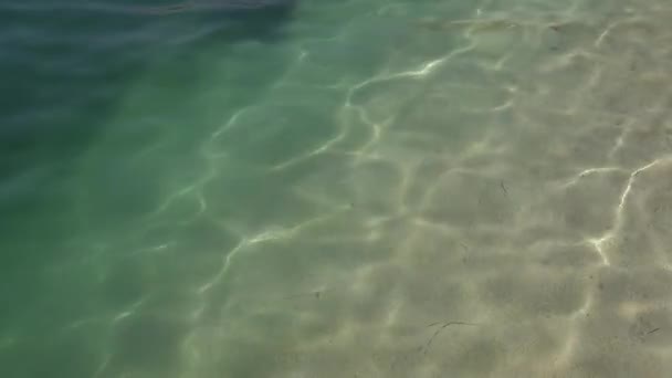Sonnenstrahlen Auf Dem Sandigen Grund Des Klaren Meeres Hochwertiges Fullhd — Stockvideo