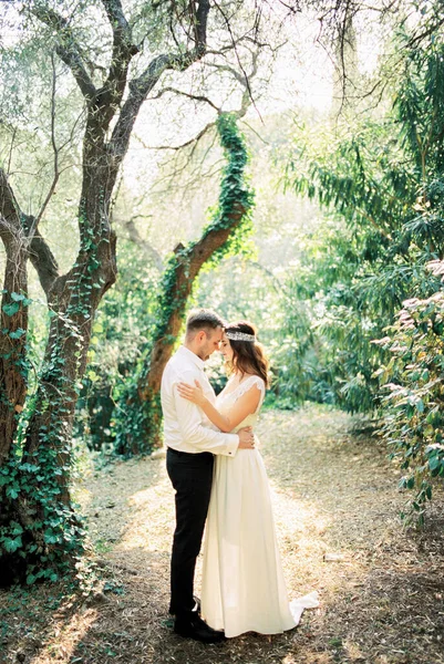 Vőlegény Homlokával Homlokához Szorítja Menyasszonyt Parkban Kiváló Minőségű Fénykép — Stock Fotó