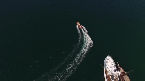 Motorboot Vaart Langs Zee Langs Een Afgemeerde Zeilboot Hoge Kwaliteit — Stockvideo