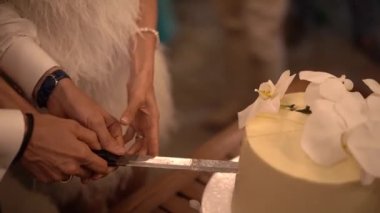 Gelin ve damat pastayı birlikte kestiler. Yüksek kaliteli FullHD görüntüler
