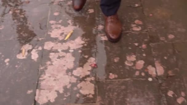 Uomo Giacca Cravatta Cammina Piastrelle Bagnate Sotto Pioggia Ritagliato Filmati — Video Stock