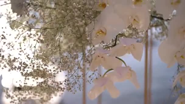 Białe Orchidee Cyganka Goździki Stoją Podstawce Pobliżu Morza Wysokiej Jakości — Wideo stockowe