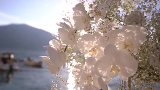 Λευκό Μπουκέτο Λουλούδια Στέκεται Μια Προβλήτα Δίπλα Στη Θάλασσα Υψηλής — Αρχείο Βίντεο