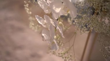 Beyaz orkide buketi, jigolo ve karanfil köpüklü su. Yüksek kaliteli FullHD görüntüler