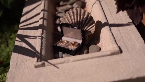 Jegygyűrűk Egy Lakkozott Dobozban Hevernek Köveken Kiváló Minőségű Fullhd Felvételek — Stock videók