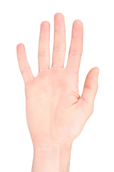 Номер пять в языке жестов — стоковое фото