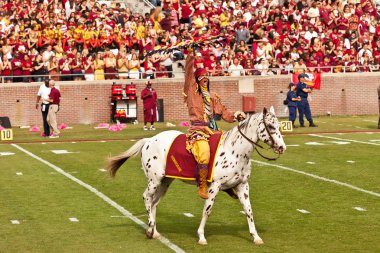 Florida state futbol