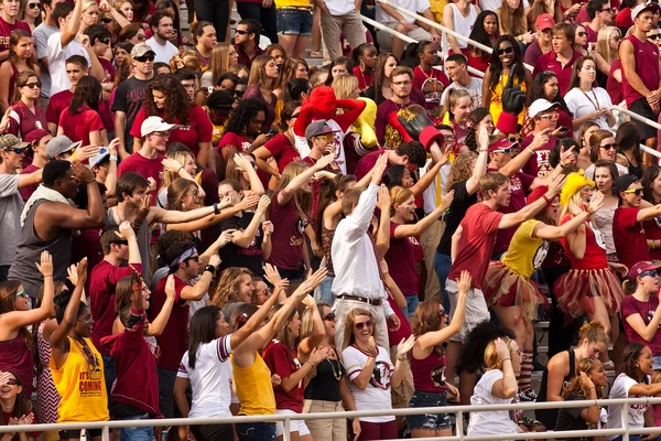 FSU Seminole Fans — Stock Photo, Image