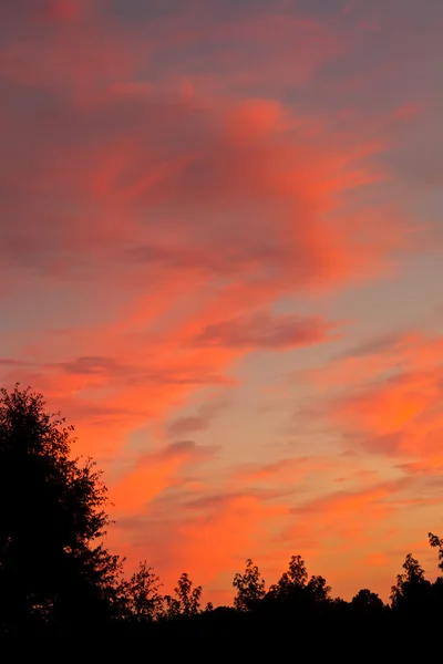 タラハシーの日没 — ストック写真