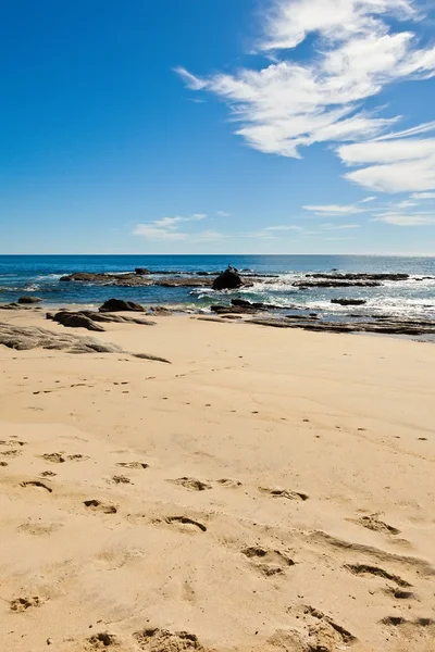 Los Cabos Beach — Stock Photo, Image