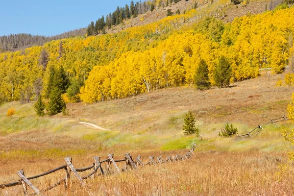 Otoño en Colorado — Foto de Stock