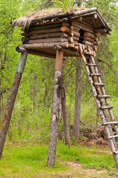 Casa sull'albero — Foto Stock