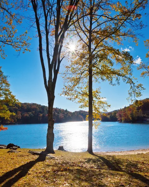 秋の木々 を通して自然の太陽フレア — ストック写真