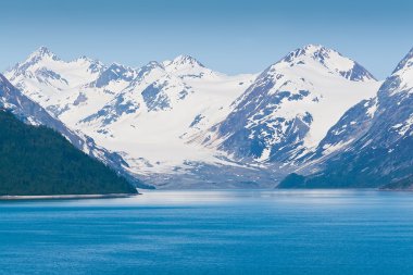 Glacier Bay National Park in Alaska clipart