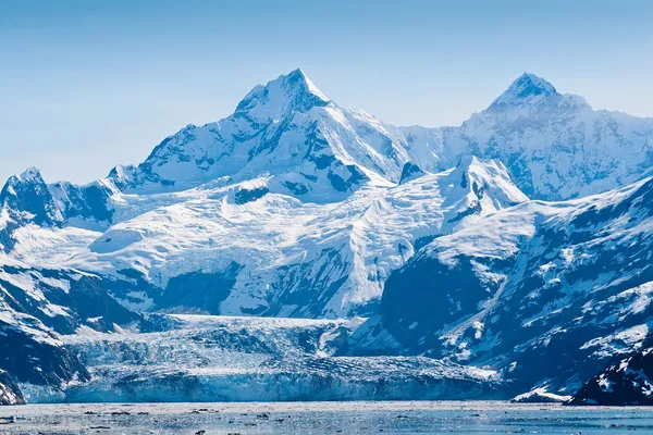Parco nazionale della baia del ghiacciaio in Alaska Immagini Stock Royalty Free