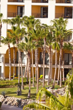 lüks resort cabo San lucas, Meksika