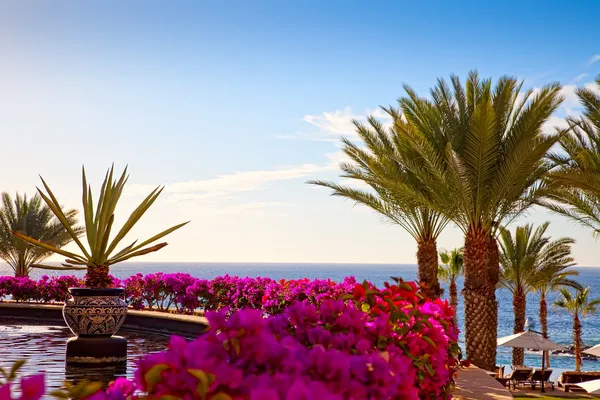 Resort in Cabo San Lucas, Mexico — Stock Photo, Image