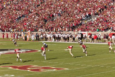 Florida state futbol