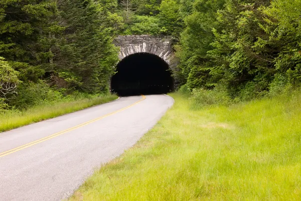 Country Road e túnel ao longo Blue Ridge Parkway — Fotos gratuitas