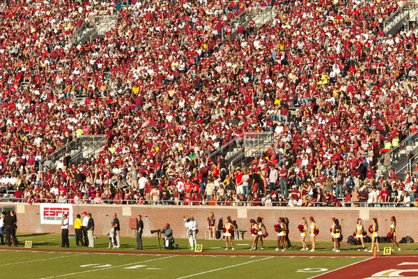 Florida State Fußballspiel — Stockfoto