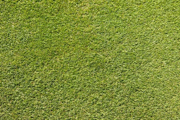 Patch of a Putting Green — Stock Photo, Image