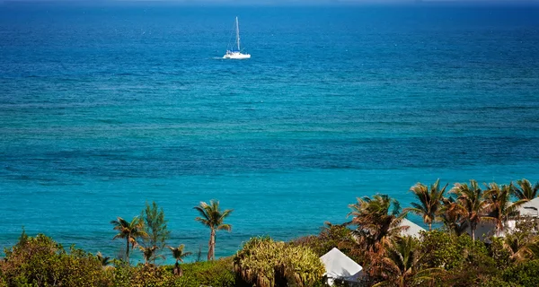 Catamarán en el Caribe — Foto de Stock