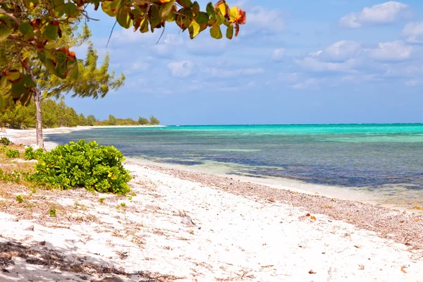 Isole Cayman — Foto Stock