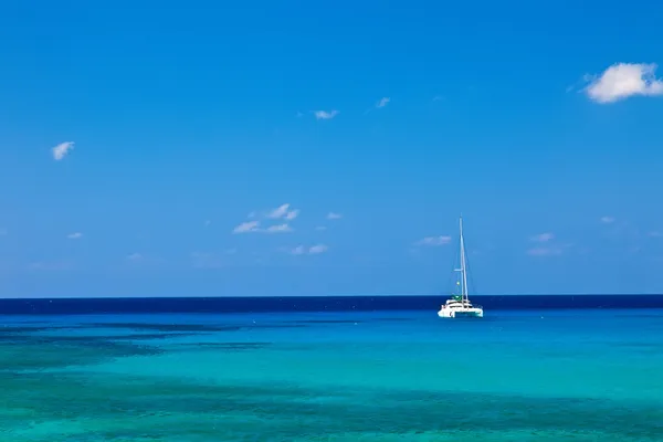 Gran Caimán — Foto de Stock