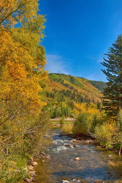 Fall in Colorado — Stock Photo, Image