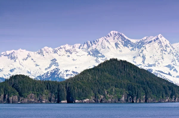 Glaciar Bay — Fotografia de Stock