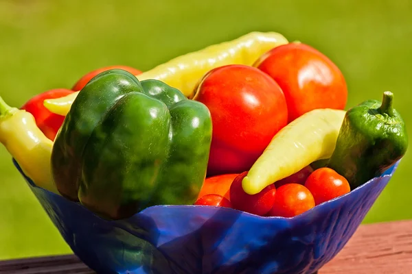 Plantaardige kom — Stockfoto