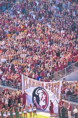 Florida state Üniversitesi futbol