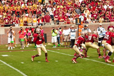 Florida state Üniversitesi futbol