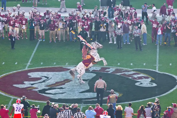 Florida State University Football — Stock Photo, Image