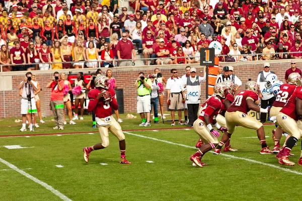 Florida state university fotboll — Stockfoto