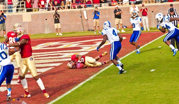 Florida State University Football — Stock Photo, Image