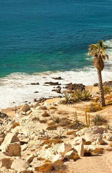 Cabo San Lucas — стокове фото