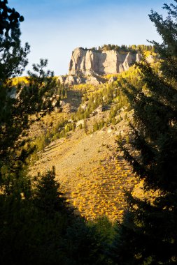Colorado