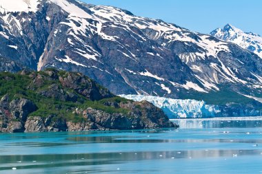 Glacier Körfezi