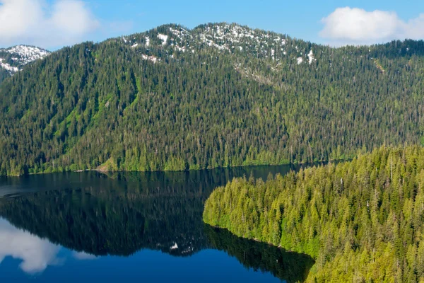 Zamlžené fjord — Stock fotografie