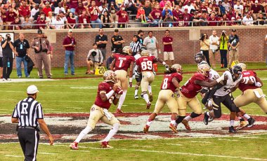 Florida state futbol