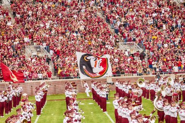 Florida state futbol