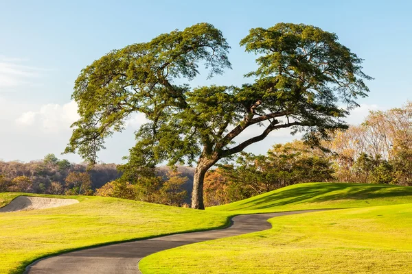 Costa Rica — Stockfoto